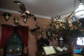 Galeria