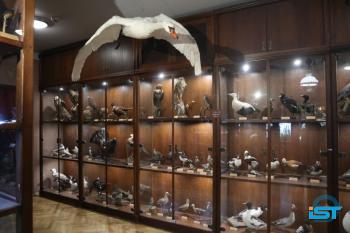 Galeria