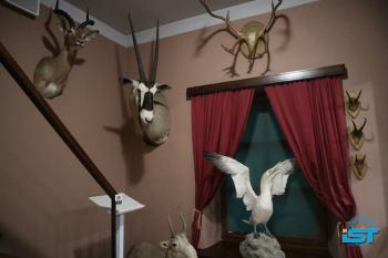 Galeria