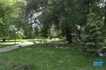 Galeria